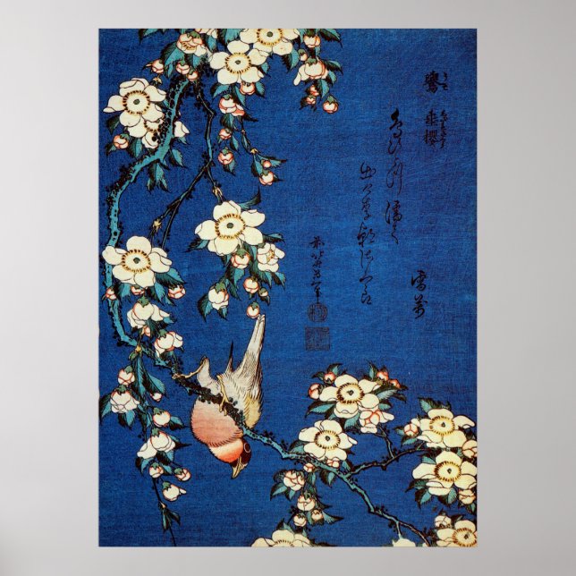 鳥 と 枝 桜, 北 斎 Bird and Weeping Cherry Träd, Hokusai Poster (Framsidan)