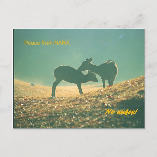 鹿 nara vykort (Framsida)