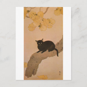 黒猫 svart katt för 春草, Shunsō Vykort
