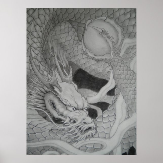 龍　dragon　水墨画　降り白龍 poster (Framsidan)