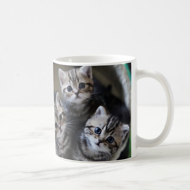 ３匹のアメリカンショートヘアの子猫たち　マグカップ KAFFEMUGG (Höger)
