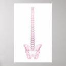 Sök efter tredimensionellt posters Biologi