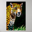 Sök efter amazonas posters Natur