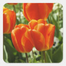 Sök efter trädgården klistermärken Orange
