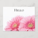 Sök efter gerbera vykort Blommigt