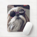Sök efter min shih tzu musmattor Söt