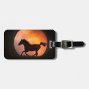Sök efter western häst accessoarer Hästälskare