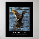 Sök efter humor fåglar konst Anka