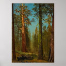 Sök efter sequoia Yosemit
