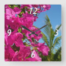 Sök efter bougainvillea konst Natur