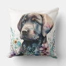 Sök efter brun labrador retriever Valp