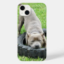 Sök efter lekar iphone fodral Hund