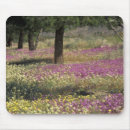 Sök efter texas musmattor Rosa