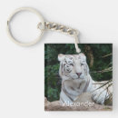 Sök efter tigerfoto Stora katter