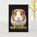 Sök efter guineapig Djur