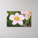 Sök efter anemoner canvastryck Natur