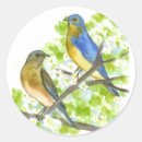 Sök efter bluebirds klistermärken Människor (allmänt)