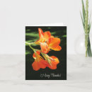 Sök efter canna Blommigt