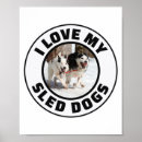 Sök efter sled posters Husky