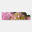Sök efter gult och grönt bildekaler Rosa