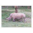 Sök efter rhinos fotografi Afrika