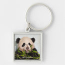 Sök efter panda nyckelringar Smidig