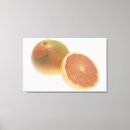 Sök efter grapefrukt Människor (allmänt)
