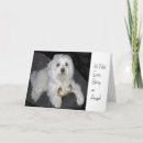 Sök efter körkort kort Människor (allmänt)