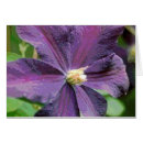Sök efter clematis fotografi Lila