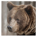 Sök efter grizzly hem presenter Berg