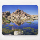 Sök efter tree elektronik Joshua tree nationalpark