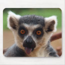Sök efter primat musmattor Lemur