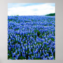 Sök efter texana posters Text
