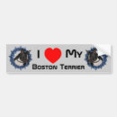 Sök efter boston bildekaler Djur