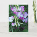 Sök efter ärtor kort Människor (allmänt)