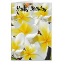Sök efter frangipani Bouquet