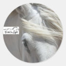Sök efter hästklistermärke Equine