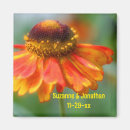 Sök efter zinnias magneter Blomma