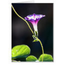 Sök efter härligt fotografi Blommigt