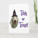 Sök efter hund halloween kort Djur