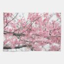 Sök efter hanami Vår