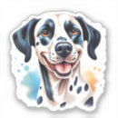 Sök efter dalmatian hund klistermärken Dalmatiker