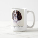 Sök efter hund för springerspaniel För alla