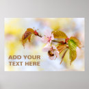 Sök efter sakura posters Hanami