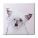 Sök efter kinesiskt kakelplattor Kineser