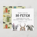 Sök efter fetch Valp