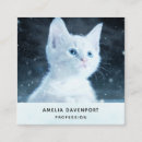 Sök efter sött visitkort Katt