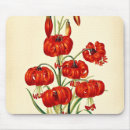 Sök efter botanical musmattor Illustration