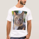 Sök efter kattfoto kläder Kattunge