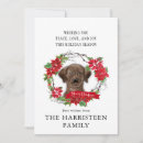 Sök efter labrador julkort Christmas önskemål